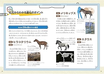 化石の百科事典 91-+L0fBx7L._AC_UL210_SR210,